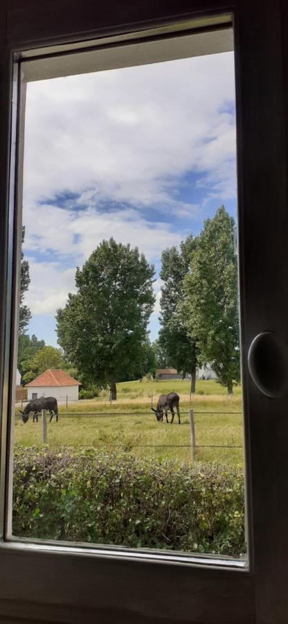 Chambres D'Hotes B&B Cote D'Opale La Fermette Du Lac Ardres 外观 照片